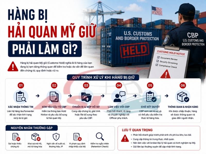 Hàng Bị Hải Quan Mỹ Giữ Phải Làm Gì? 2026 | ASL Việt Nam