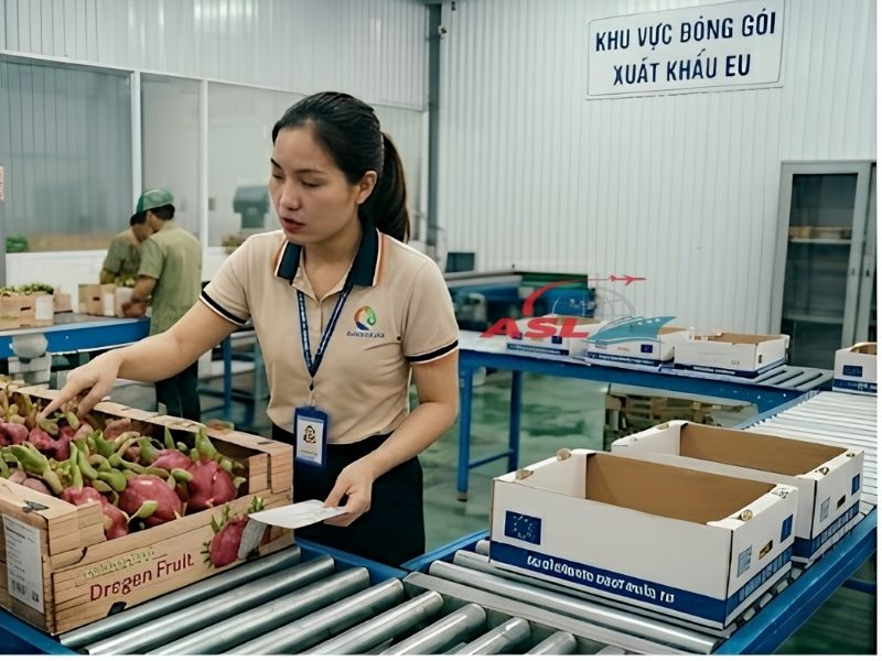 Case Thực Tế: Sai Nhãn Mác Khi Xuất Khẩu Sang EU 2026 | ASL Việt Nam