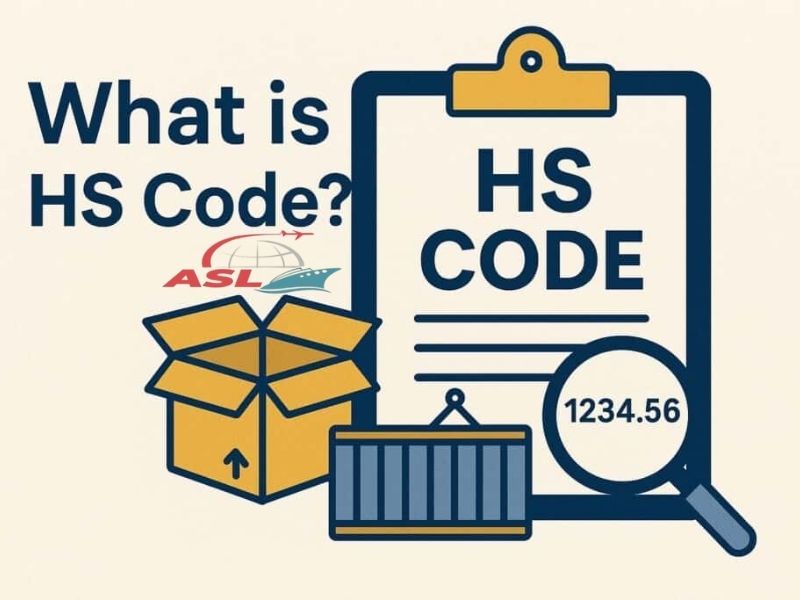 Vì Sao Doanh Nghiệp Dễ Sai HS Code? 2026 | ASL Việt Nam