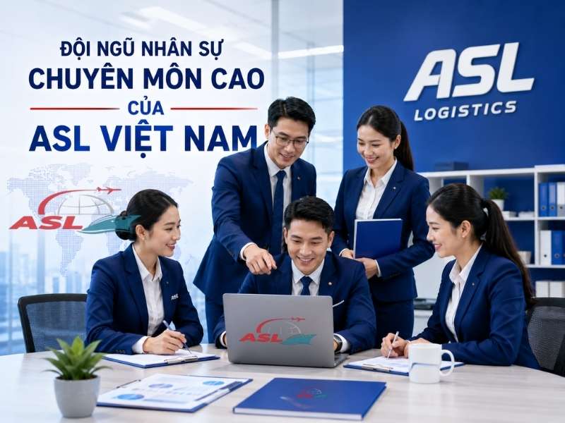 Đội Ngũ Nhân Sự Chuyên Môn Cao Của ASL Việt Nam 2026