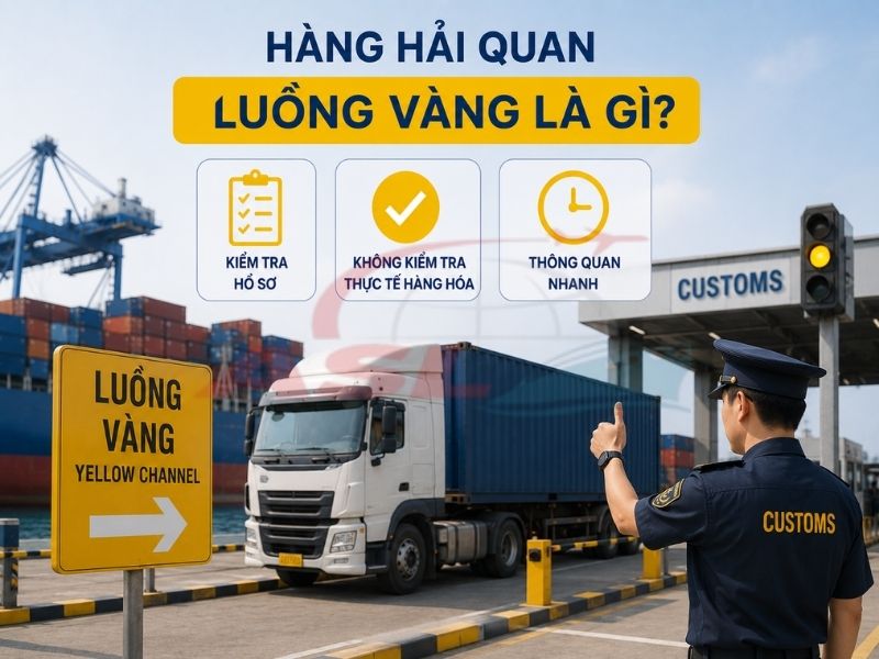 Hàng Hải Quan Luồng Vàng Là Gì? | ASL Việt Nam