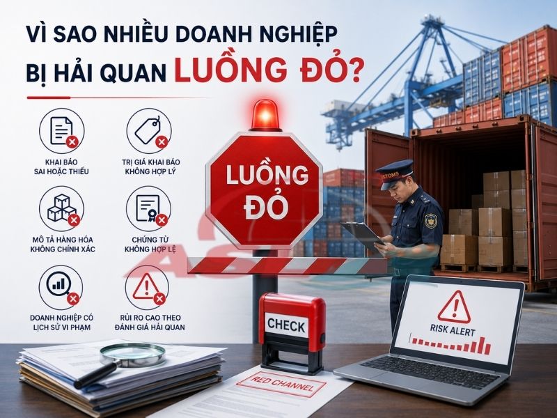 Phân tích nguyên nhân doanh nghiệp bị phân luồng đỏ và kinh nghiệm hạn chế rủi ro.