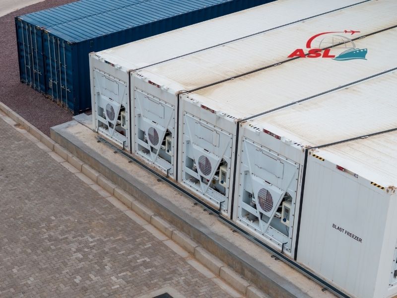 Giải thích container lạnh và cách vận chuyển hàng hóa cần kiểm soát nhiệt độ khi đi xa.