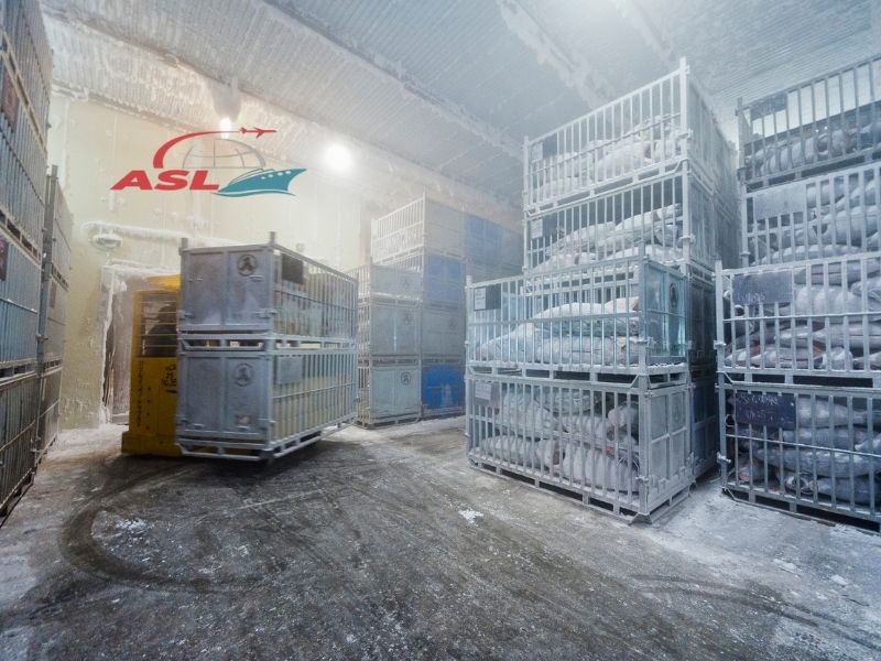 Kho lạnh logistics giúp bảo quản hàng hóa nhạy cảm nhiệt độ trong chuỗi cung ứng.