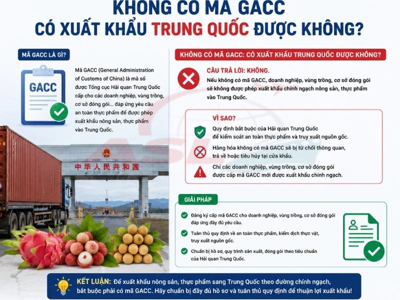 Tìm hiểu quy định mã GACC và điều kiện xuất khẩu hàng hóa chính ngạch sang Trung Quốc.